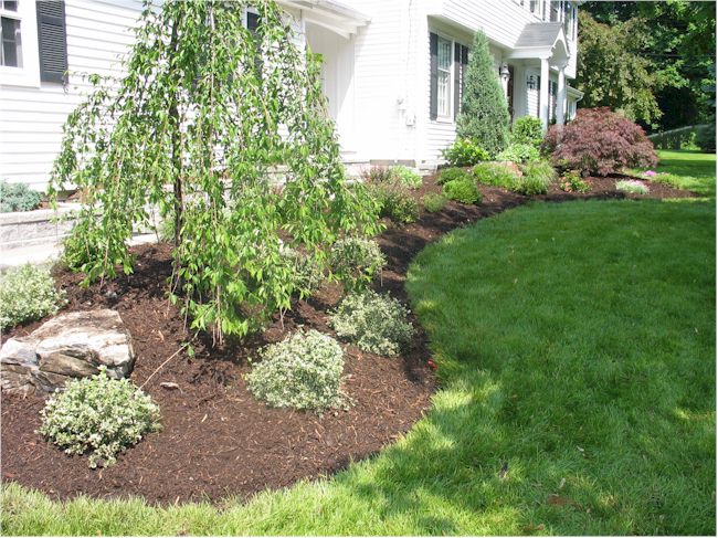 LANDSCAPING DESIGN